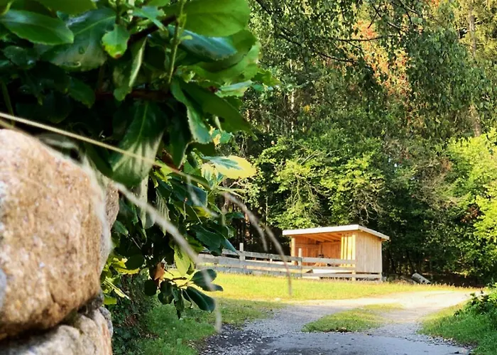 Landgasthof Blasini - Pfahlhof 3*