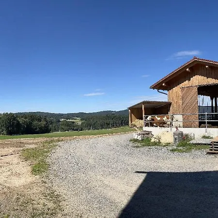 게스트하우스 Landgasthof Blasini - Pfahlhof 잔트